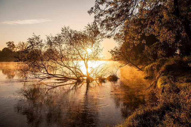 nature-3107213_640.jpg